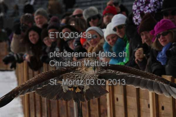 ET0Q0349a prot